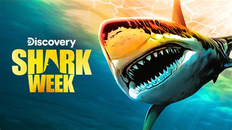 Shark week. Things To Know About Shark week. 